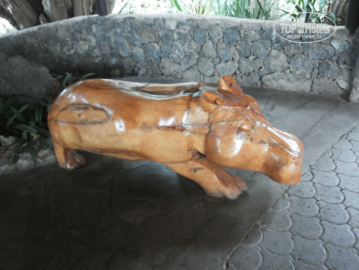 Hotelier's photos Lake Naivasha Sopa Resort