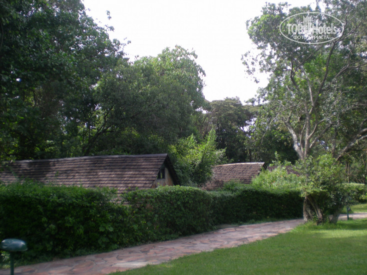 New photos from tourists Sarova Mara Game Camp