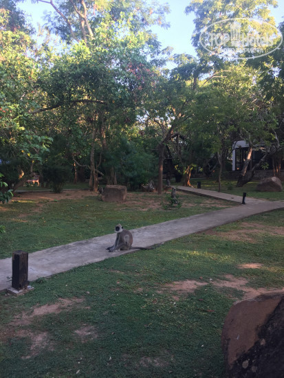 Hotel photo Elephant Reach Yala 4*