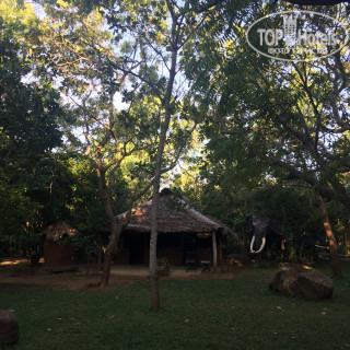 Photos Elephant Reach Yala