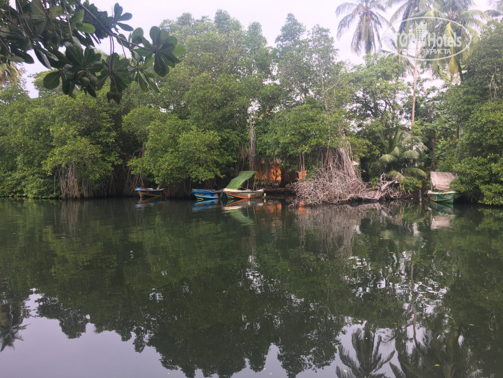 New photos from tourists Muthumuni River Resort 2*