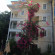 Фото Petunya Konak Boutique Hotel
