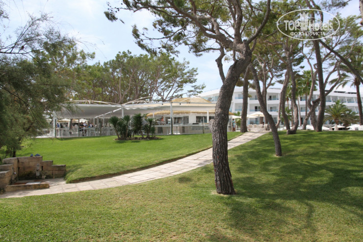 New photos from tourists Iberostar Waves Playa de Muro 4*