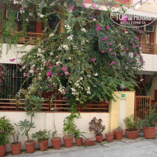 Фото Ayurveda Bhavan