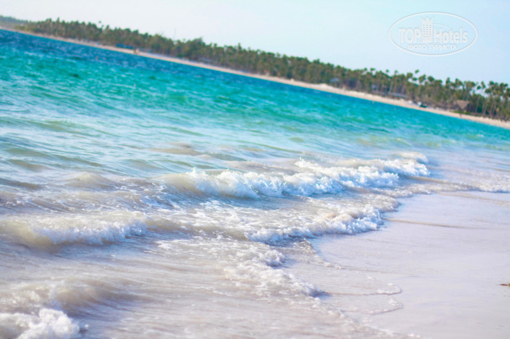 Hotelier's photos Now Garden Punta Cana (closed) 5*