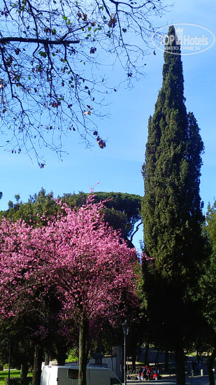 New photos from tourists Ponte Bianco Hotel & Residence 3*