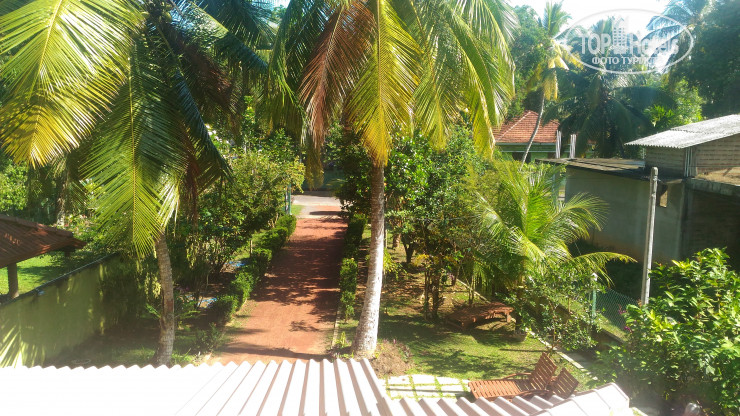 New photos from tourists Bentota Homes