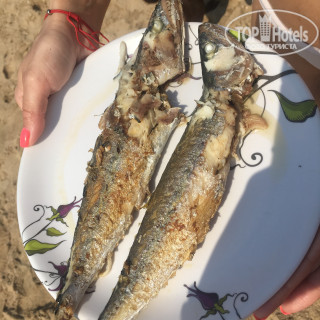 Фото Palmeiras Dourado