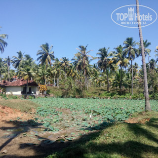 Photos Maadathil Cottages