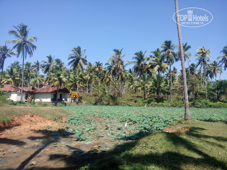 Photos Maadathil Cottages