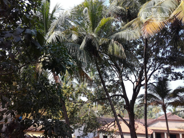New photos from tourists Down Hill Village