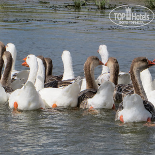 Photos Развитие (закрыт)