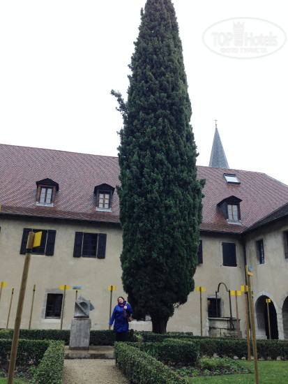 New photos from tourists Grand Hotel Grenoble 4*
