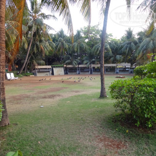Фото The Resort, Mumbai