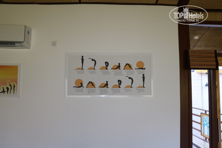 New photos from tourists Veda5 Ayurveda & Yoga Retreat