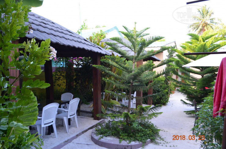 Photos New Moon Village