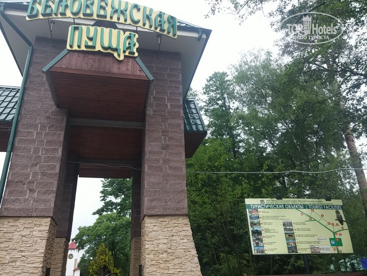 New photos from tourists Апартаменты на Маяковского
