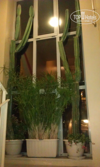 Hotel photo Ostello Torino 