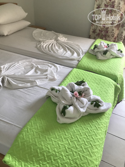 Photos Erato Studios & Apartments