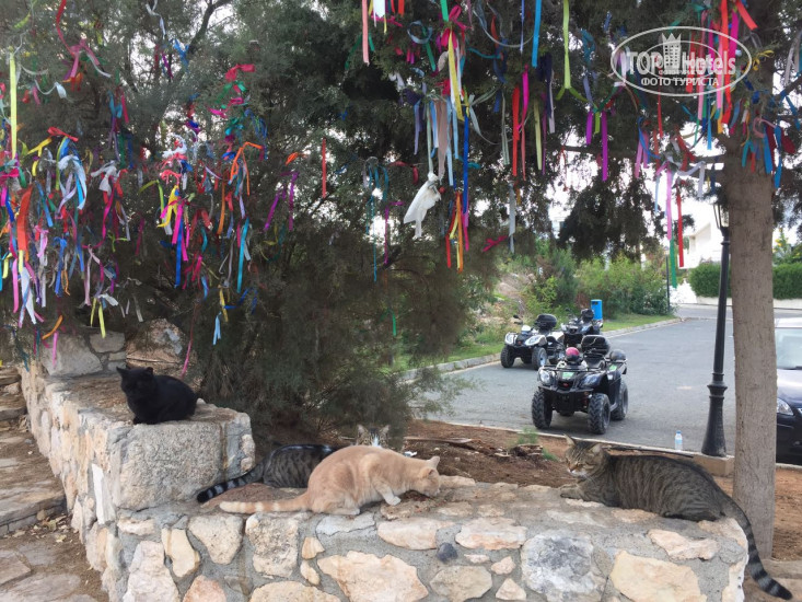 New photos from tourists Maria Zintili Apartments