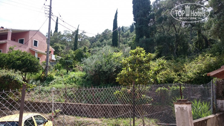 New photos from tourists Evi Ariti Apartments