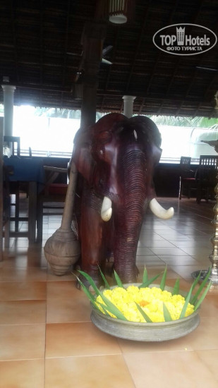 Фото Yantra Ayurvedic Resort