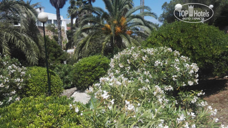 New photos from tourists Iberostar Waves Cala Domingos 4*