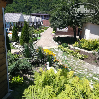 Photos Мангуст