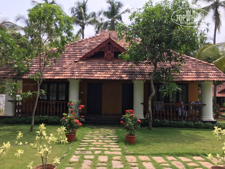 New photos from tourists Yantra Ayurvedic Resort