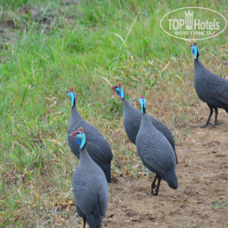 Photos Paradise View Hotel