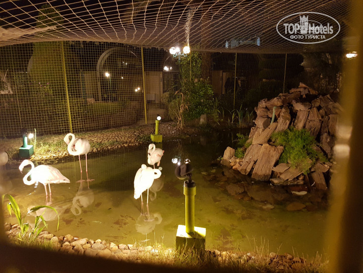 New photos from tourists Jaz Pyramids Resort 4*