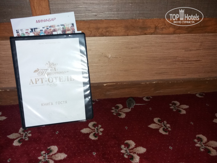 New photos from tourists Art-hotel Pushkino 3*