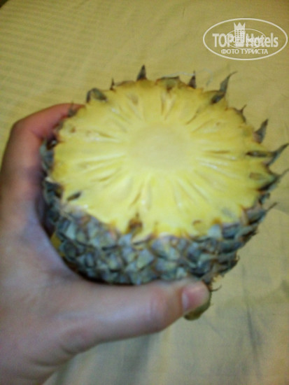 New photos from tourists Kiara B&b Home