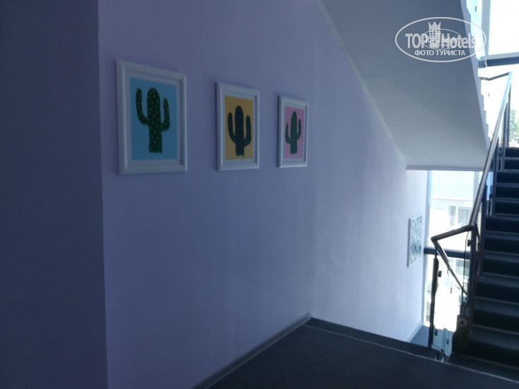 Hotel photo Калифорния 