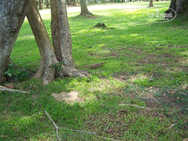 New photos from tourists Chaya Villa Guest House