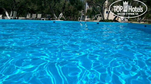 New photos from tourists Elia Apartments