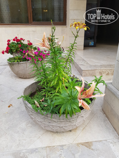 Hotel photo Griff Hotel Zalau 4*