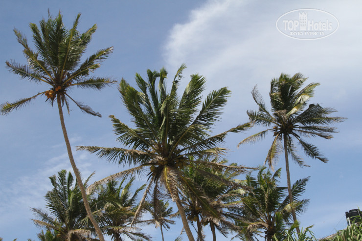 Hotelier's photos White Villa Beach Resort
