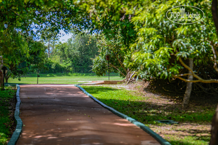 New photos from tourists Occidental Paradise Dambulla 5*