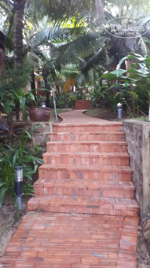 Photos Free Beach Resort