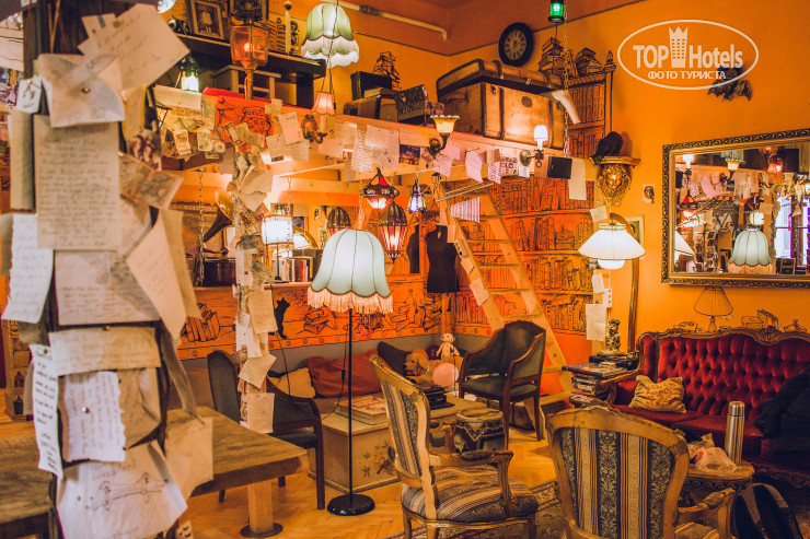 New photos from tourists Lavender Circus Hostel