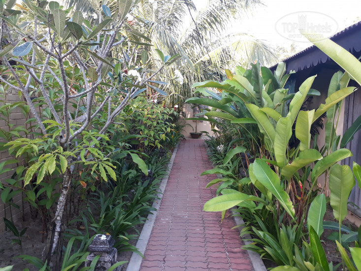 New photos from tourists Sunset Beach Resort 2*