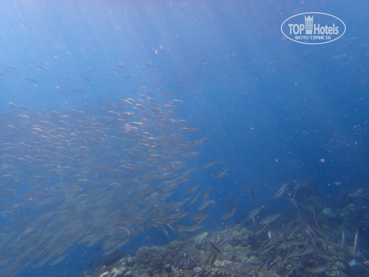 New photos from tourists The Blue Abyss Resort