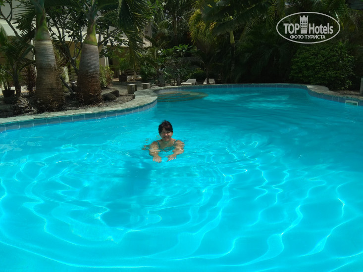 New photos from tourists Alona Swiss Resort 3*