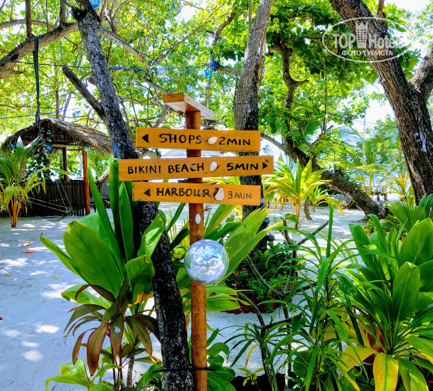 New photos from tourists Ocean Beach Inn - Maldives 3*