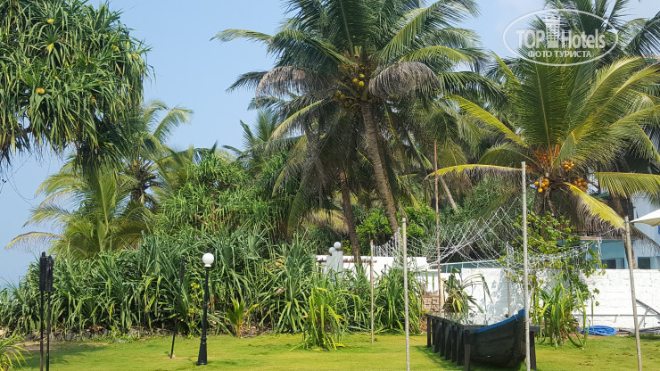 New photos from tourists Serendib Beach Hotel 3*
