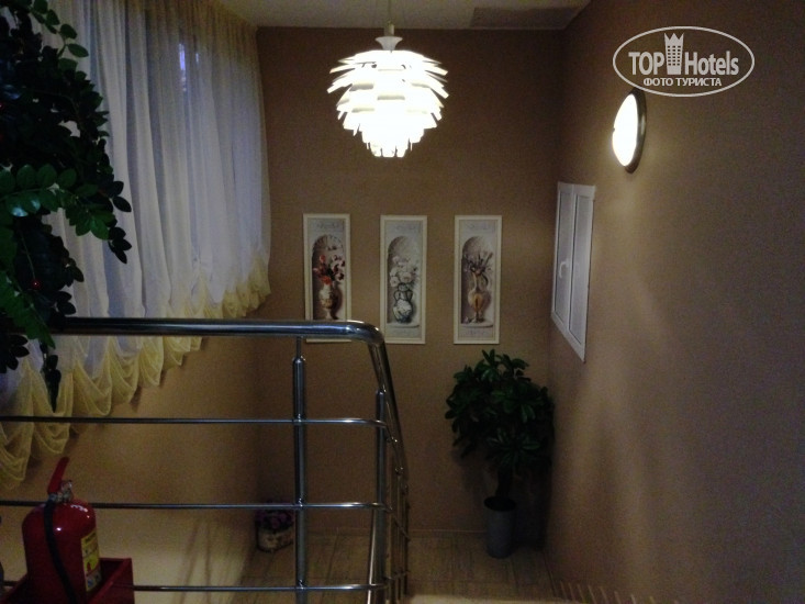 Hotel photo Цветной 5 3*