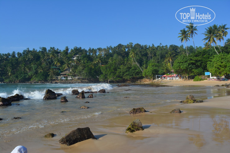 New photos from tourists Mirissa Regent