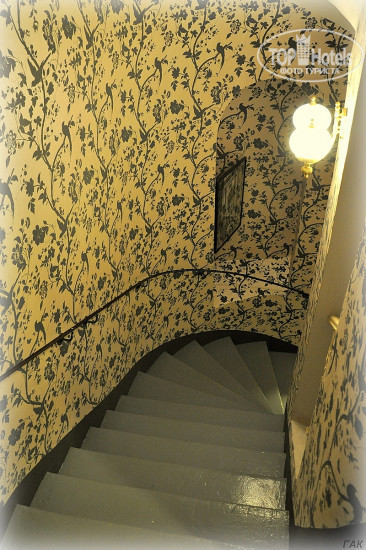 Hotel photo Kugel Hotel 3*