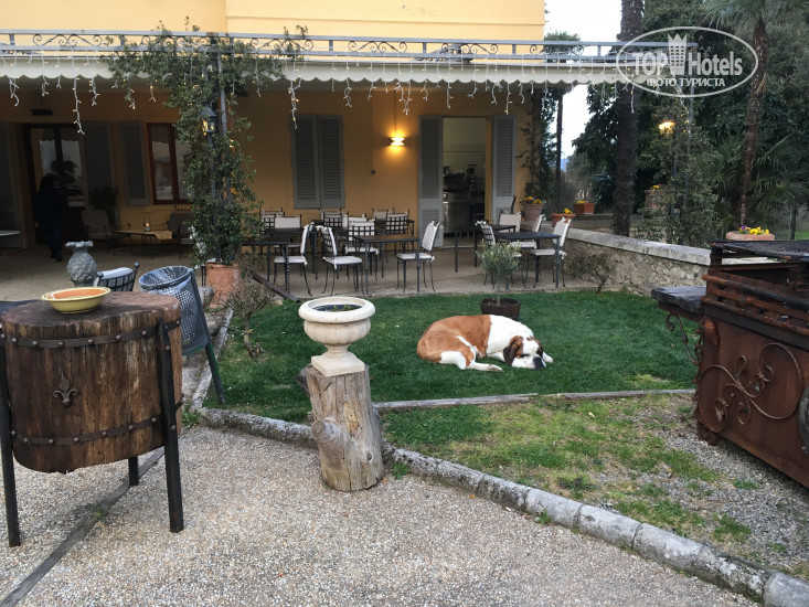 New photos from tourists Villa Sabolini Hotel 3*